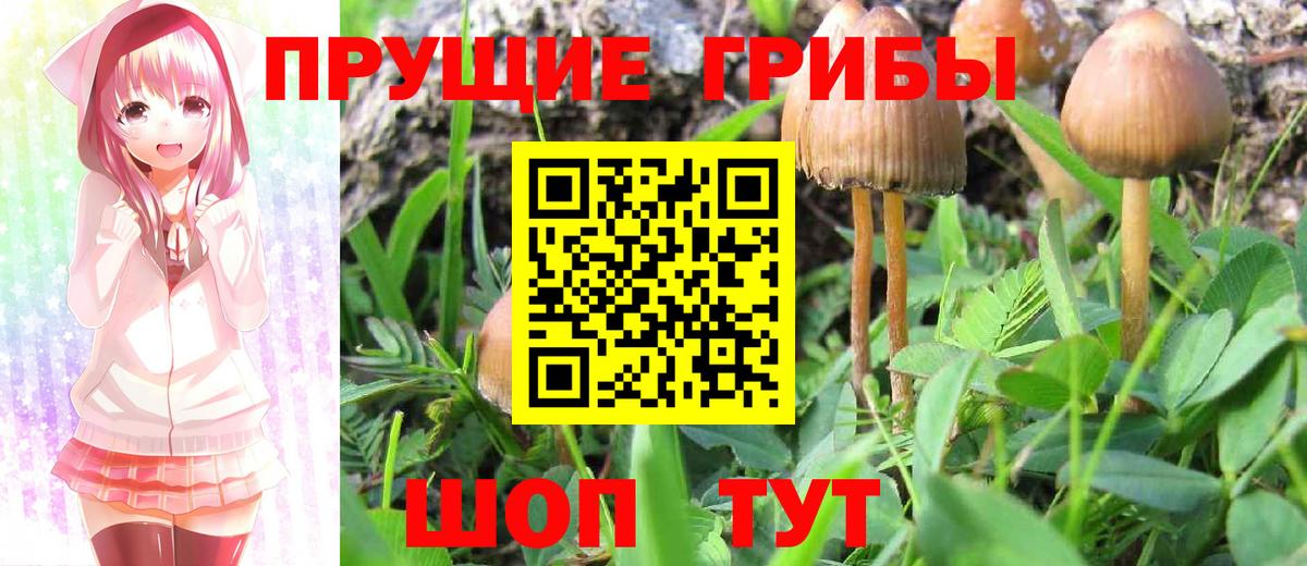 Димитровград  МАРИХУАНА  COCAIN  ГАШ  Вход с VPN  МЕФ   A PVP СК  