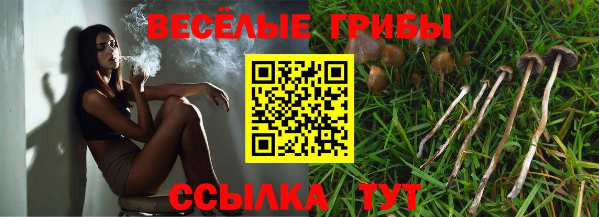 Галлюциногенные грибы Magic Shrooms  Галлюциногенные грибы Cubensis  Вход с VPN  Димитровград 